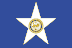 Houston, TX flag