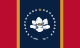 MS flag